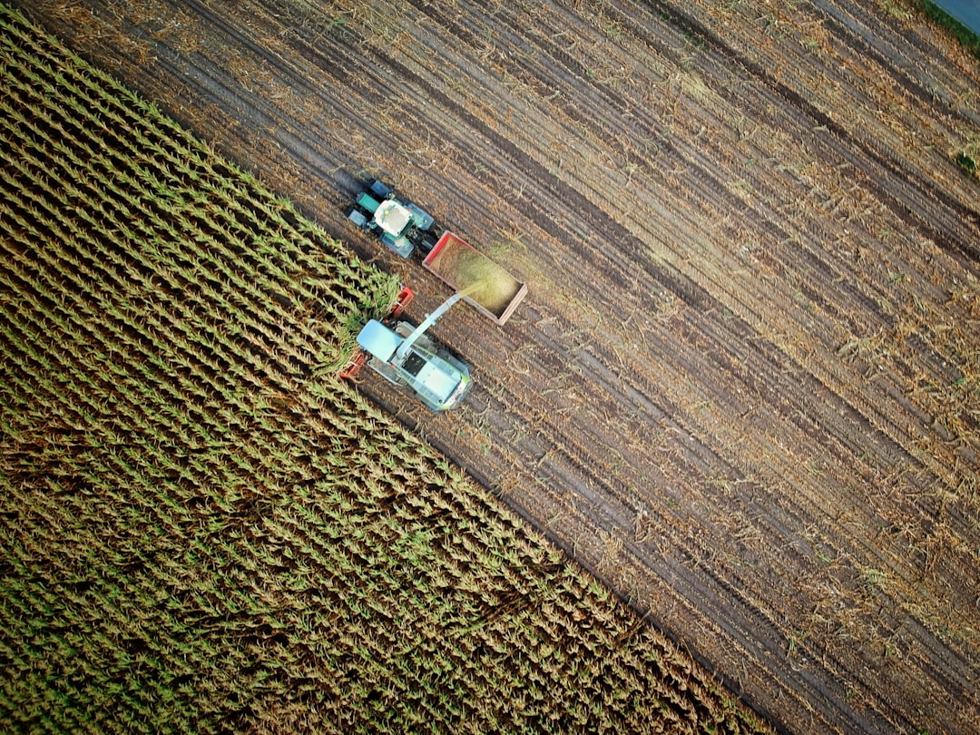 AI technology transforming agriculture with data analysis on a smartphone screen showing crop health