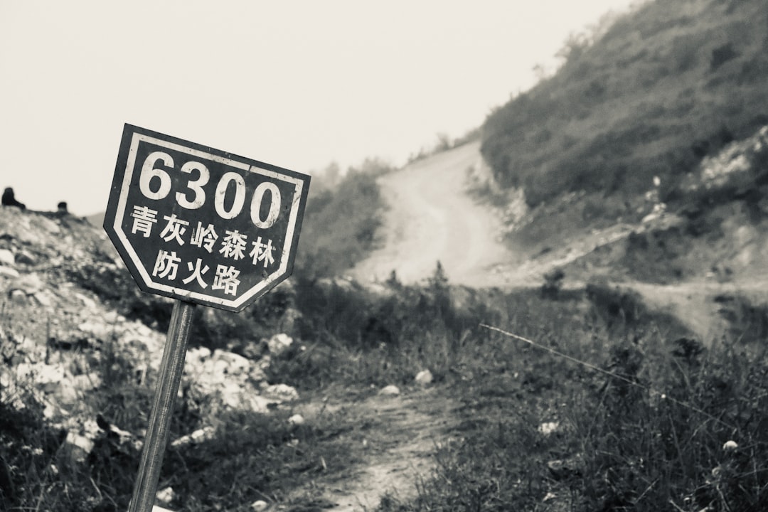 高中生团队驾驶太阳能汽车在德克萨斯州公路上行驶