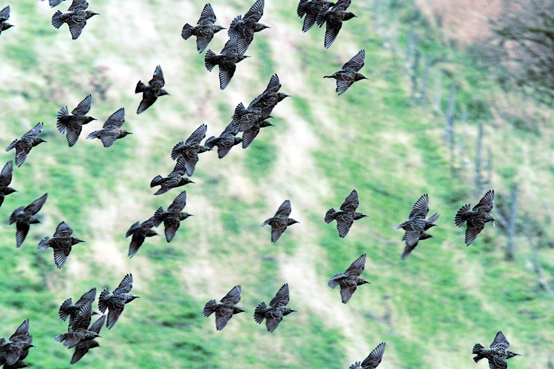Flock Safety 公司总部大楼，旁边是监控摄像头阵列