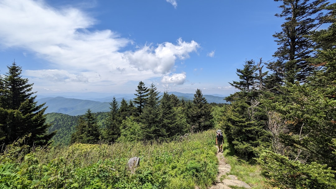 A Trail Tale 游戏中的阿巴拉契亚小径像素艺术风景截图