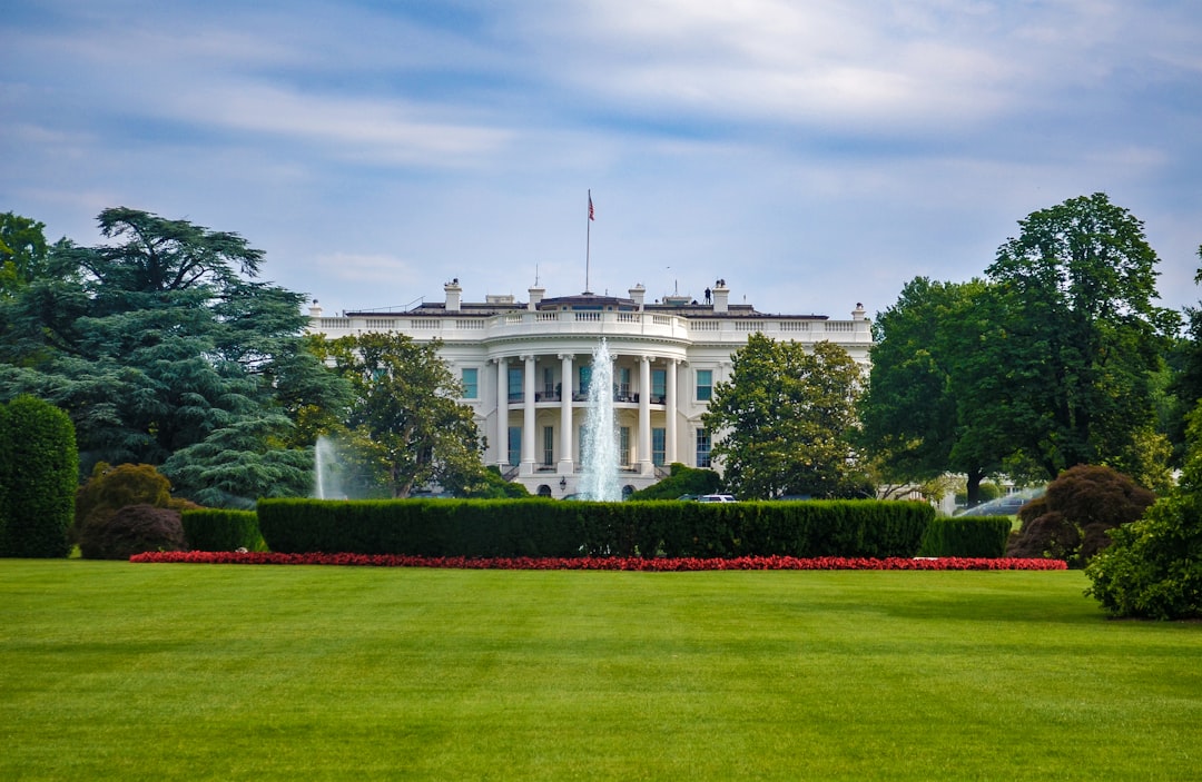 白宫移除的“Build the Wall”游戏截图，展示玩家堆砌积木阻止僵尸的场景